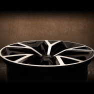 DUX7_22